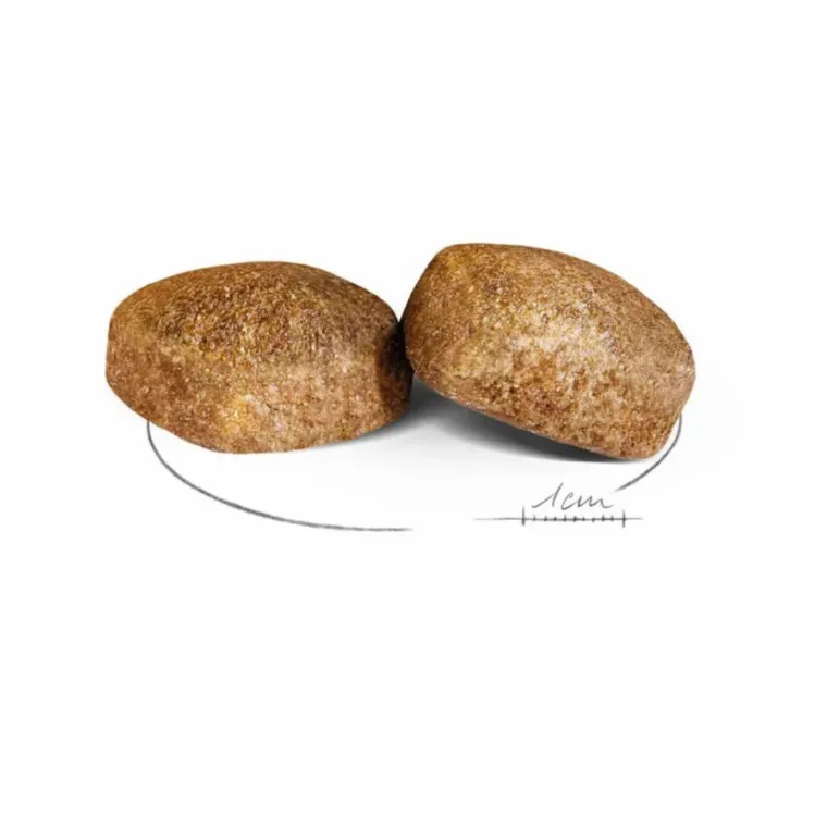 Discount ROYAL CANIN Croquettes pour chien Giant adulte de + de 45 kg - Le sac de 15 kg