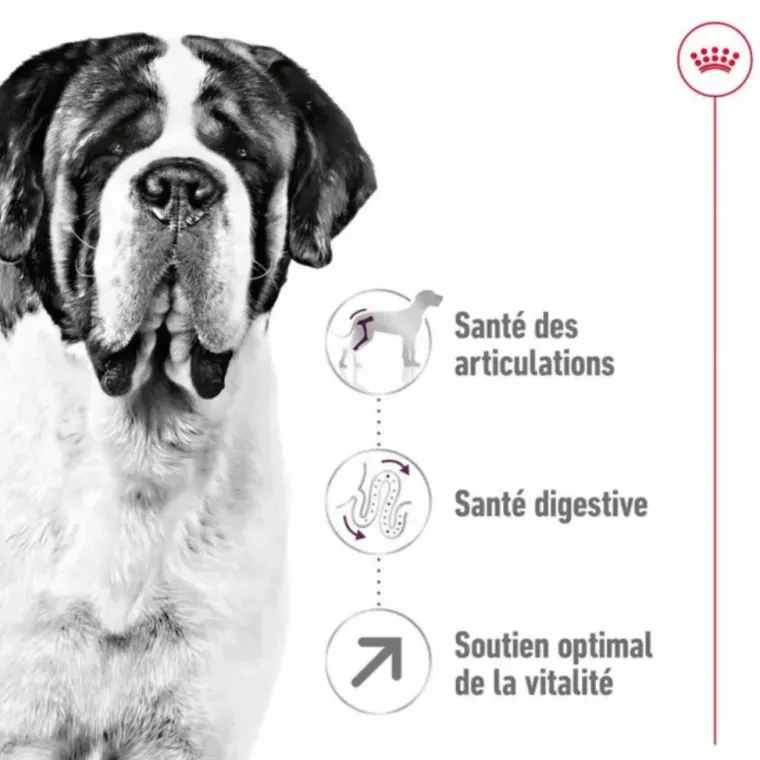 Discount ROYAL CANIN Croquettes pour chien Giant adulte de + de 45 kg - Le sac de 15 kg