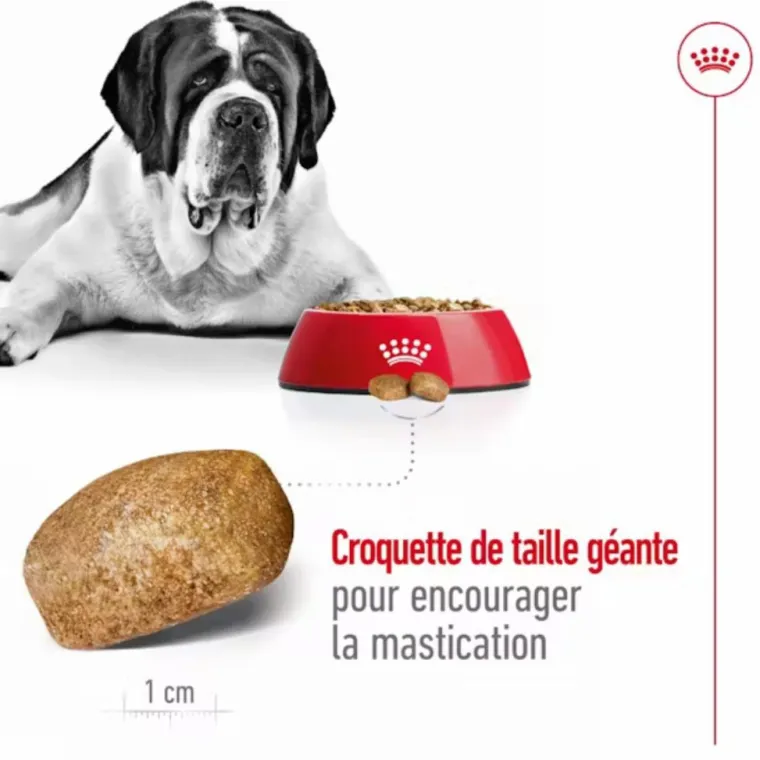 Discount ROYAL CANIN Croquettes pour chien Giant adulte de + de 45 kg - Le sac de 15 kg