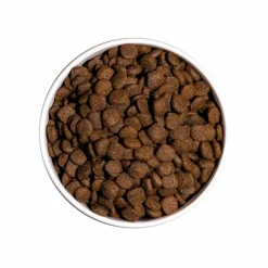 Hot OWNAT Croquettes pour chiot medium junior Ultra - 12 kg