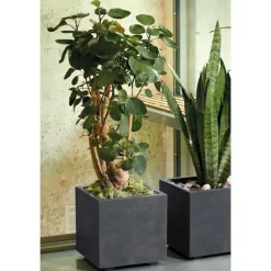 DEROMA Cubo Millenium Corten à réserve d’eau 10 litres