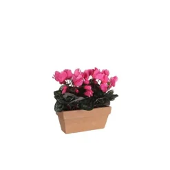 Outlet Cyclamen rose clair artificiel en jardinière Slate Terra 29x13x33 cm