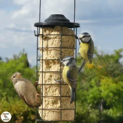 Sale NATURES MARKET Cylindre de graisse végétale au tournesol 850 g