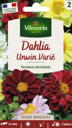 VILMORIN Dahlia Unwin Varié - graines à semer