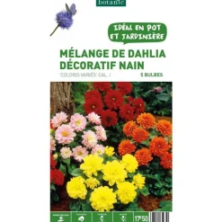 Sale BOTANIC® Dahlias nains multicolores en mélange - 5 tubercules