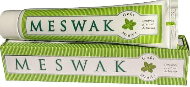 New KERALA NATURE Dentifrice ayurvédique goût menthe Meswak®– 100 g