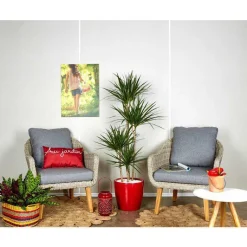 Sale Dracaena marginata 4 tiges et son pot Classico premium Ø 35 rouge