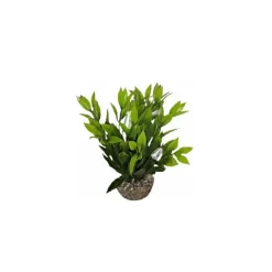 Outlet LABEO Dracaena vert en plastique 13 cm