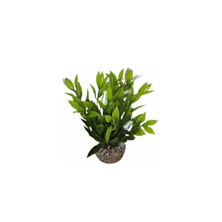 Outlet LABEO Dracaena vert en plastique 13 cm