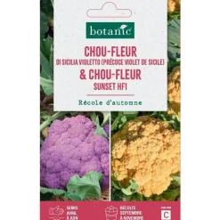 Sale BOTANIC® Duo de graines choux fleur di sicilia violetto et graines de sunset HF1 - - graines à semer