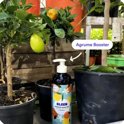 BLEEN Duo engrais plantes vertes et agrumes liquide naturel - 2 x 450 mL