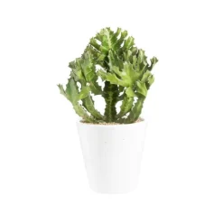 BOTANIC® Euphorbia pseudocactus en pot blanc émaillé H 10 x Ø 15 cm.