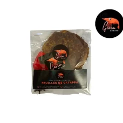 GIOIASHRIMP Feuilles de catappa pour les crevettes d'aquarium – sachet de 10
