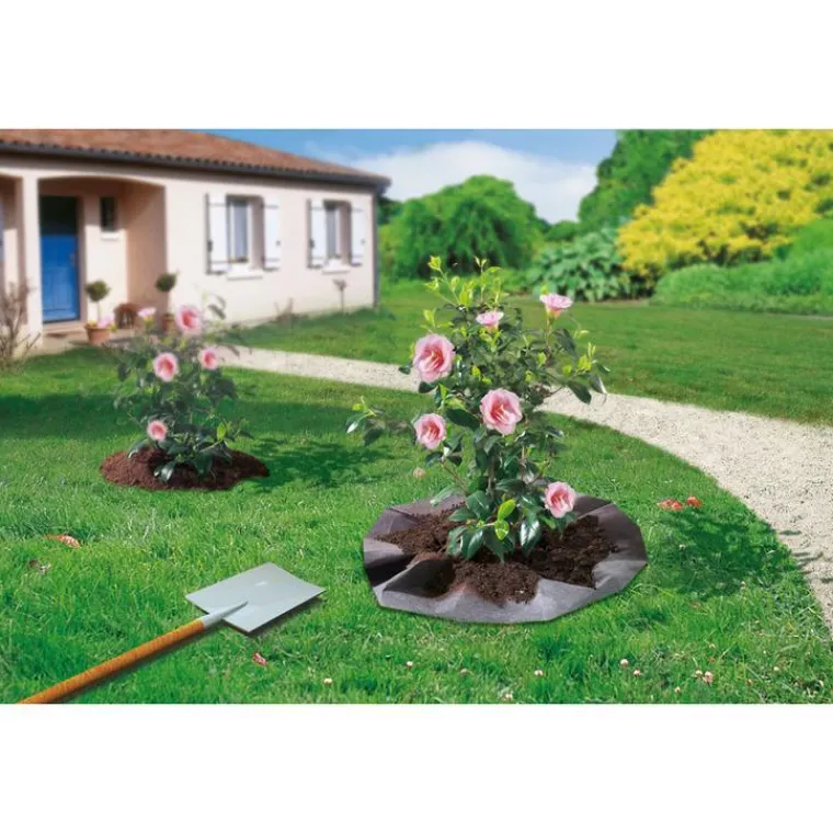 Online NORTENE Feutre plantation spécial terre de bruyère