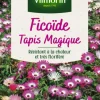 Sale VILMORIN Ficoïde Tapis Magique - graines à semer