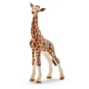 Outlet SCHLEICH Figurine bébé Girafe Série Animaux sauvages 6,8x3,5x11,8 cm