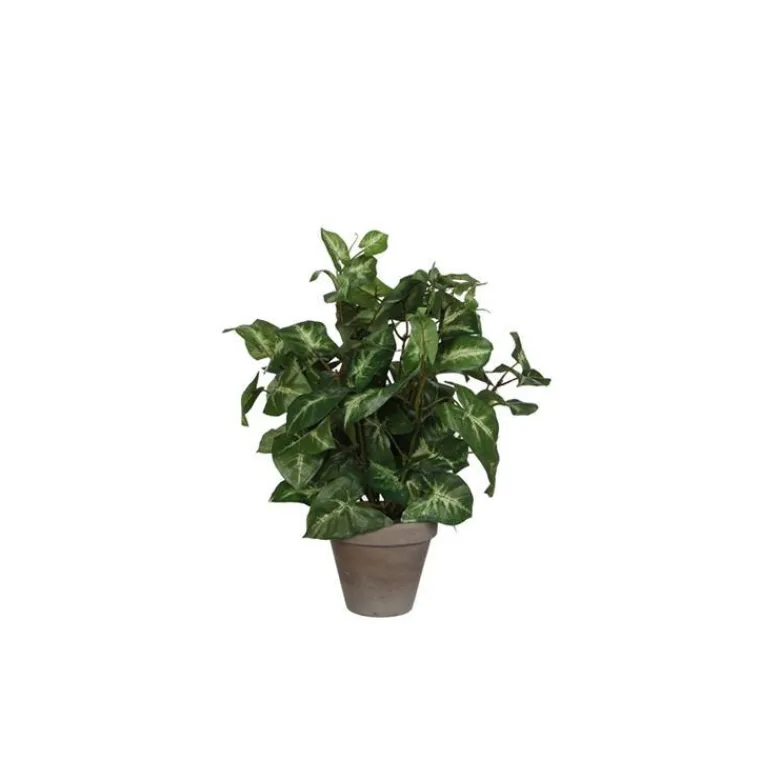 Clearance Fittonia vert plante artificielle en pot gris H 35 x Ø 25 cm