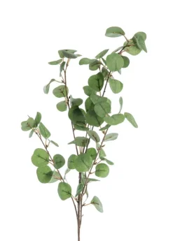 New NATURALYS Fleur artificielle en papier tige Eucalyptus coloris vert - H 88 cm