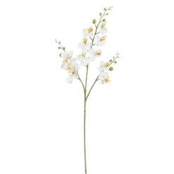 Sale EDELMAN Fleur artificielle Phalaénopsis blanc - 75 cm