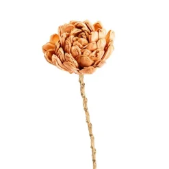 Discount NATURALYS Fleur en bois de Sola et coco forme Dalhia - Ø 8 x H 50 cm