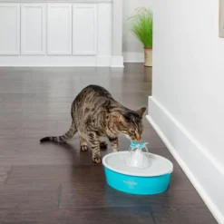 Clearance PETSAFE Fontaine Drinkwell Papillon coloris bleu - 1,5 L