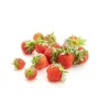 Discount Fraises bio de France - Barquette de 250 g
