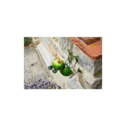 New SMART GARDEN Funkee Frog Large