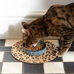 SCRUFFS Gamelle pour chat en grès coloris gris avec rayures Reactive Glaze - 13 x 13 x 3 cm