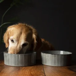 Clearance SCRUFFS Gamelle pour chien en grès coloris gris avec rayures Reactive Glaze - 19 x 19 x 8 cm