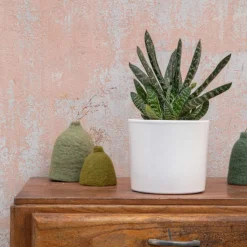 Clearance BOTANIC® Gasteria panachage par 18 pot émaillé Ø20x30 cm