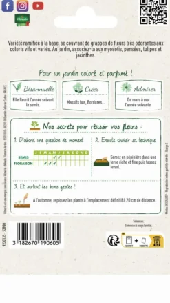 Hot VILMORIN Giroflée Ravenelle Simple Variée - graines à semer