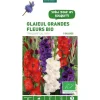 Discount BOTANIC® Glaïeul à grandes fleurs tricolore bleu, blanc, rouge bio - 5 bulbes