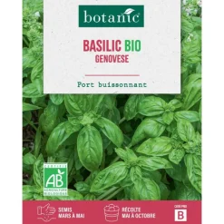 Best BOTANIC® Graines de basilic à grandes feuilles bio - graines à semer