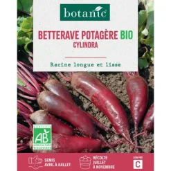 Sale BOTANIC® Graines de Betterave potagère cylindra bio - graines à semer