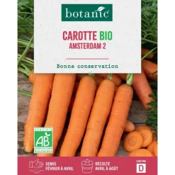 Sale BOTANIC® Graines de carotte Amsterdam 2 bio - graines à semer