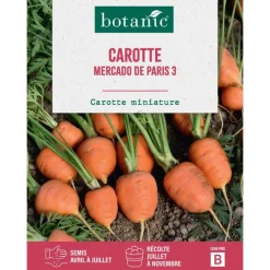 Outlet BOTANIC® Graines de carotte mercado de paris (marché de Paris) - graines à semer