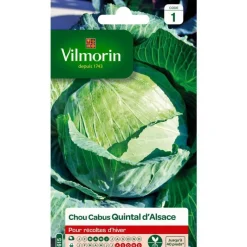 Sale VILMORIN Graines de chou cabus quintal d’Alsace - graines à semer