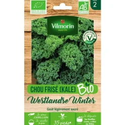 Best VILMORIN Graines de chou kale frisé westlandse winter bio - graines à semer