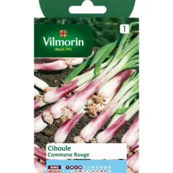 Sale VILMORIN Graines de ciboule commune rouge - graines à semer