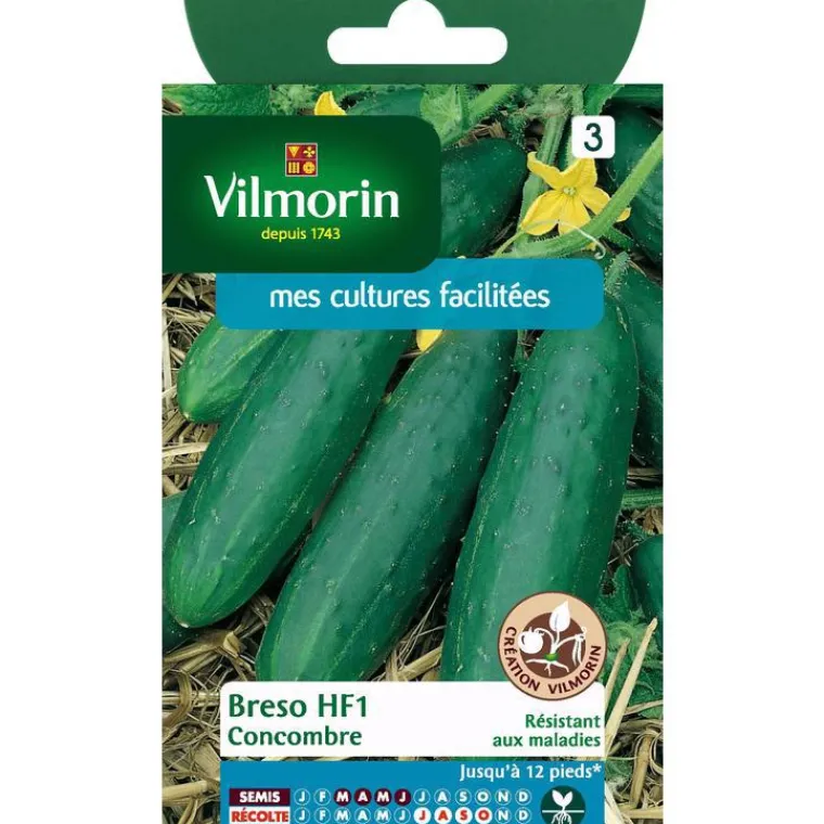 Outlet VILMORIN Graines de Concombre Bredo HF1 - graines à semer