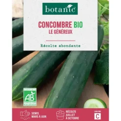 Hot BOTANIC® Graines de concombre le généreux bio - graines à semer