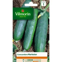Best VILMORIN Graines de Concombre Marketer - graines à semer