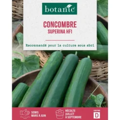 Clearance BOTANIC® Graines de concombre superina HF1 - graines à semer