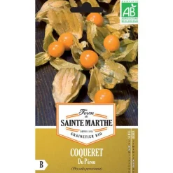 Discount FERME DE SAINTE MARTHE Graines de coqueret du Pérou bio - graines à semer