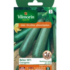 Hot VILMORIN Graines de courgette belor HF1 - graines à semer