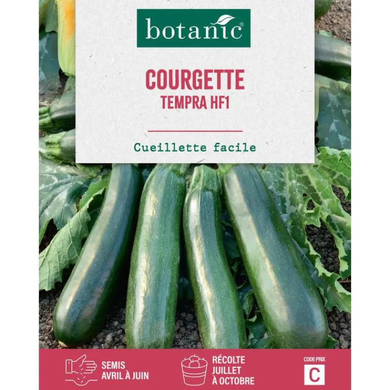 Sale BOTANIC® Graines de courgette tempra HF1 - graines à semer