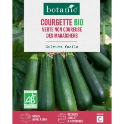 Discount BOTANIC® Graines de courgette verte non coureuse des maraîchers bio - graines à semer