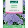 BOTANIC® Graines de fleurs d'Ageratum boule bleue