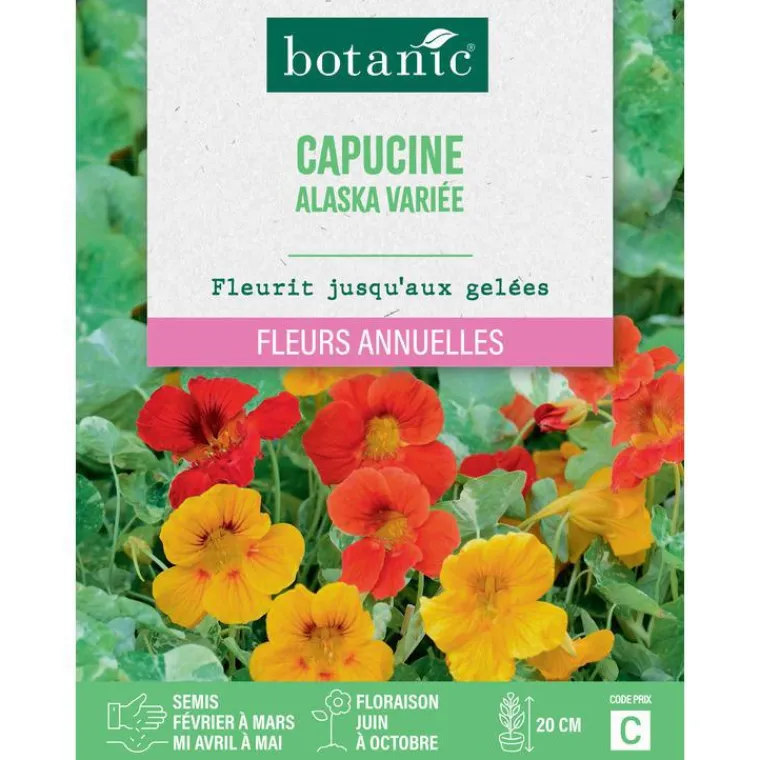 Hot BOTANIC® Graines de fleurs de Capucine Alaska variée