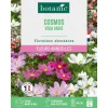 Online BOTANIC® Graines de fleurs de Cosmos vega varié